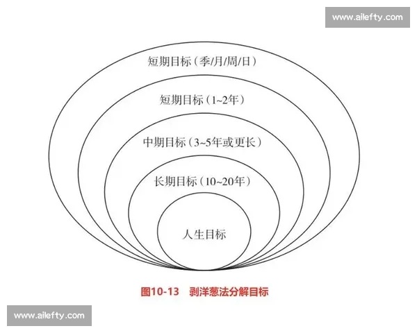 职业发展路径与能力提升相结合的全面规划与未来目标设计